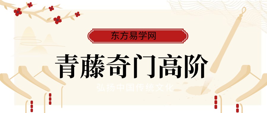 青藤奇门高阶 5800元