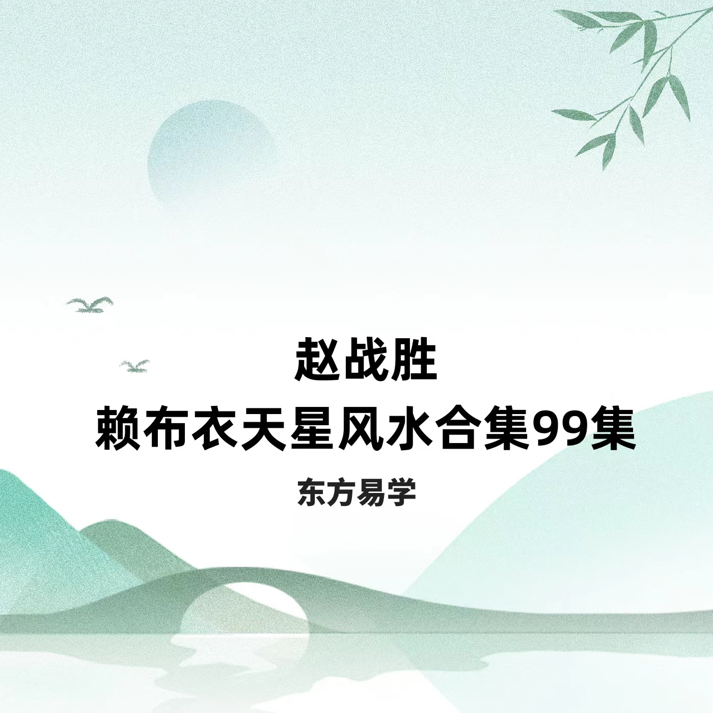 赵战胜赖布衣天星风水99集