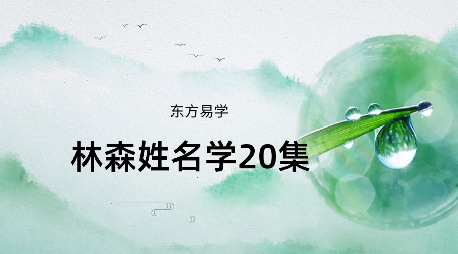 林森姓名学20集