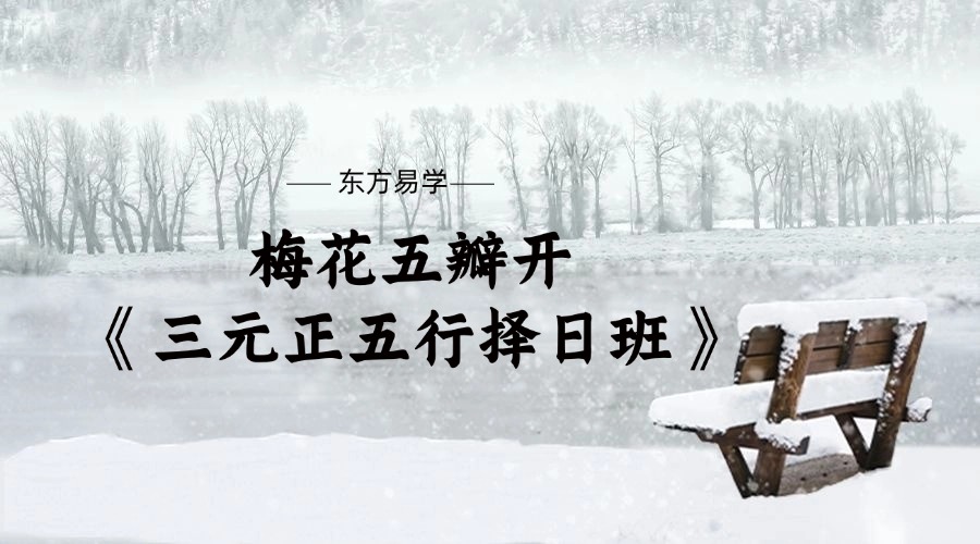 梅花五瓣开《三元正五行择日班》20集