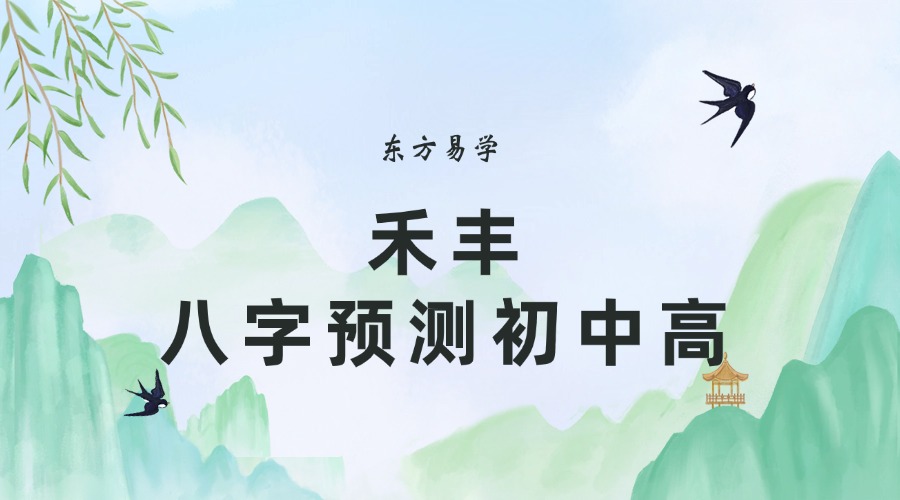 禾丰老师四柱八字预测学视频教程初级+中级+高级（东方易学）