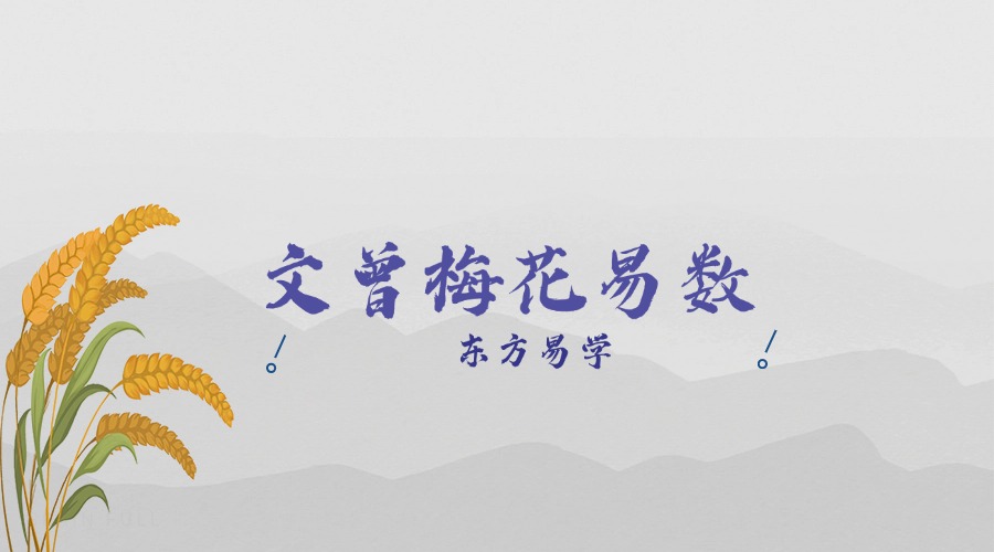 文曾梅花易数 31集视频 （东方易学）