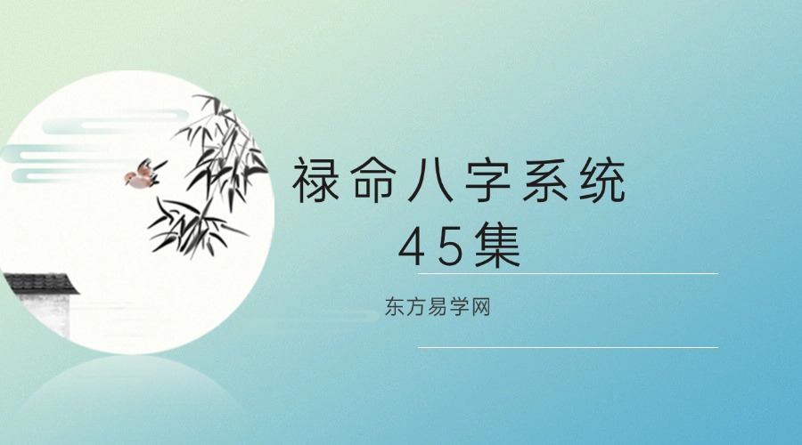 禄命八字系统45集