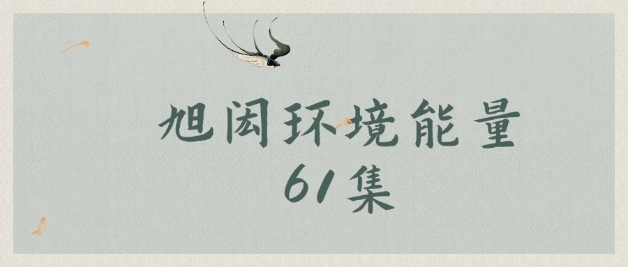 旭闳环境能量 61集（东方易学）