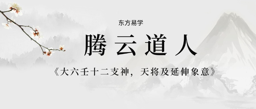 腾云道人《大六壬十二支神，天将及延伸象意》40集