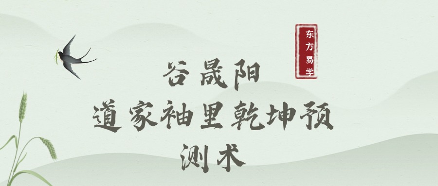 谷晟阳–道家袖里乾坤预测术精品课程9集视频（东方易学）