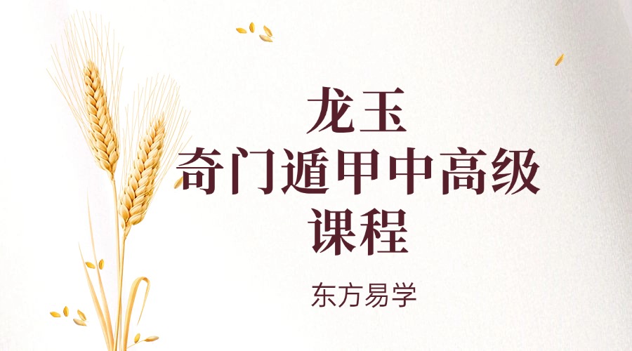 龙玉 奇门遁甲中高级课程视频 37集（东方易学）