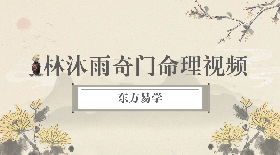 林沐雨奇门命理视频16集（东方易学）