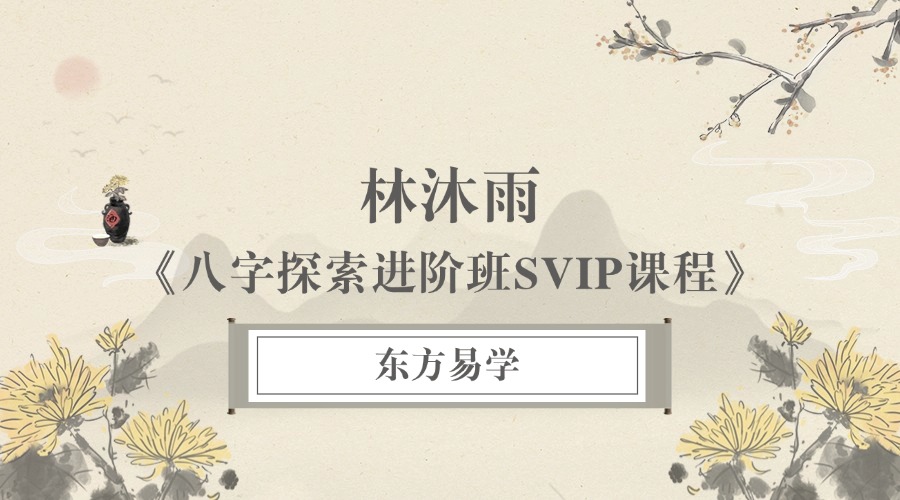 林沐雨《八字探索进阶班SVIP课程》20集
