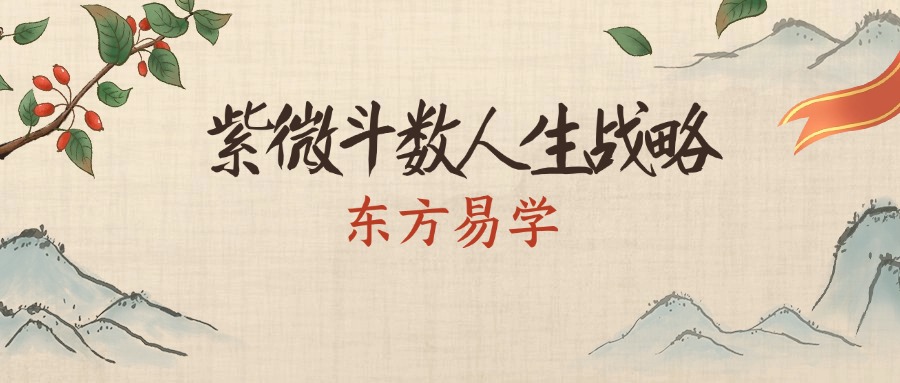 紫微斗数人生战略（东方易学）