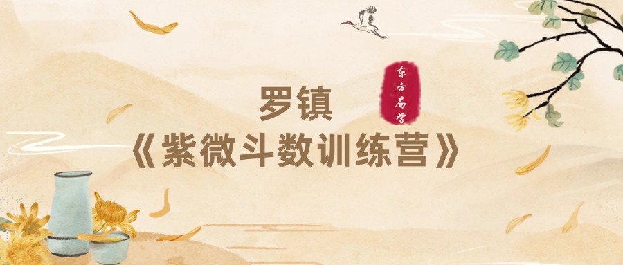 罗镇《紫微斗数训练营》65集视频（东方易学）