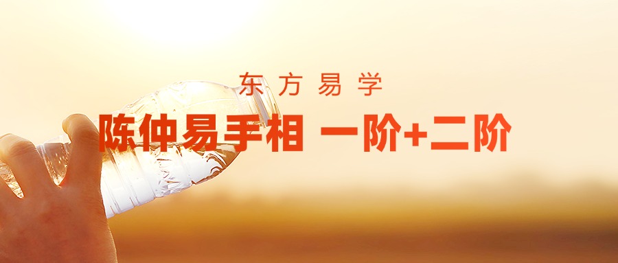 陈仲易手相 一阶+二阶（东方易学）