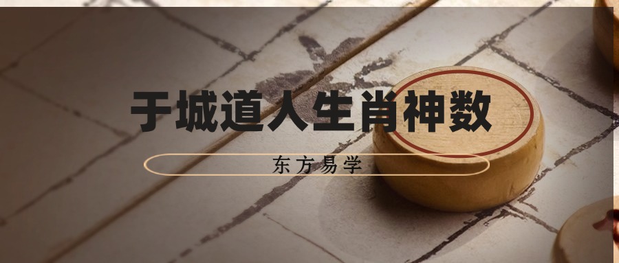 于城道人生肖神数 视频课程 6集 （东方易学）