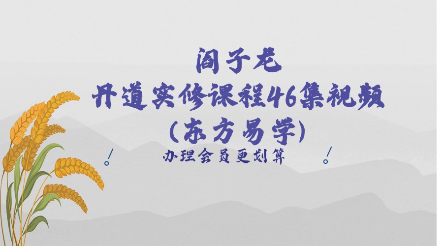 阎子龙 丹道实修课程46集视频 (东方易学)