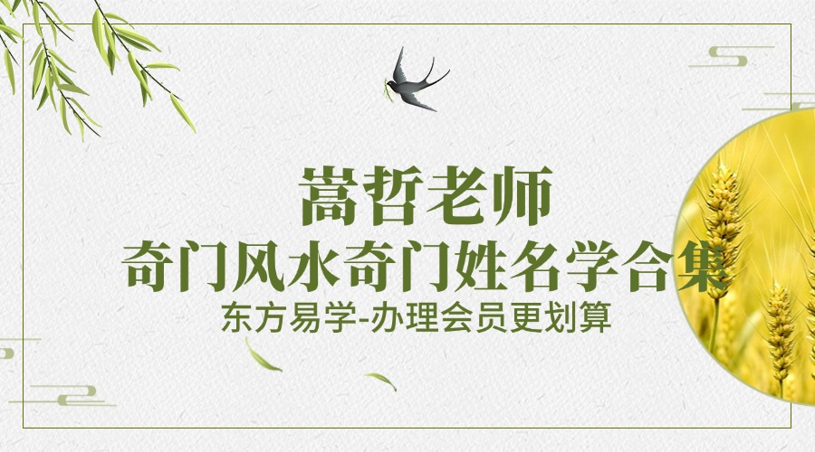 嵩哲老师奇门风水奇门姓名学合集79集（东方易学）