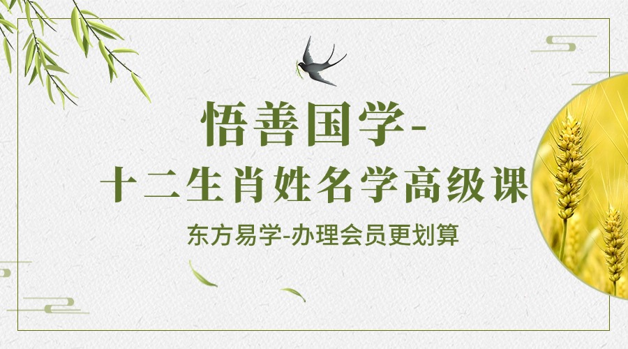 悟善国学-十二生肖姓名学高级课（东方易学）