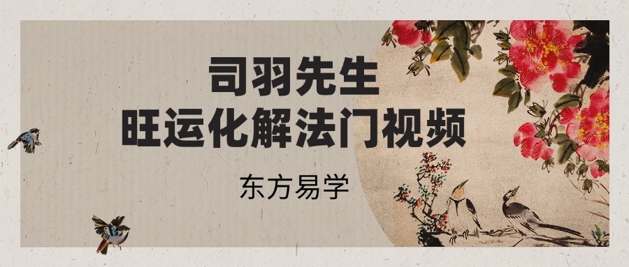 司羽先生旺运化解法门视频 22集（东方易学）