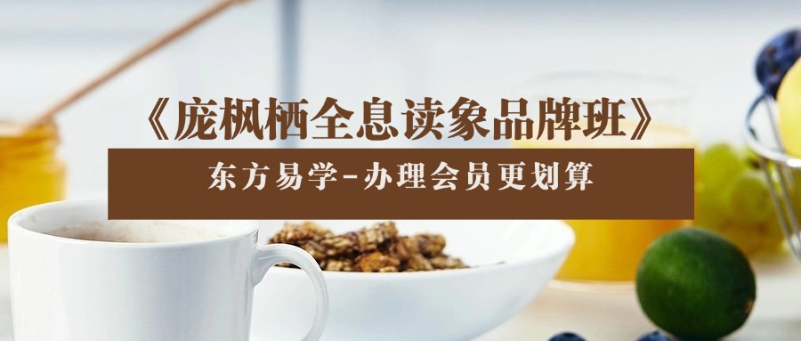 《庞枫栖全息读象品牌班》10集