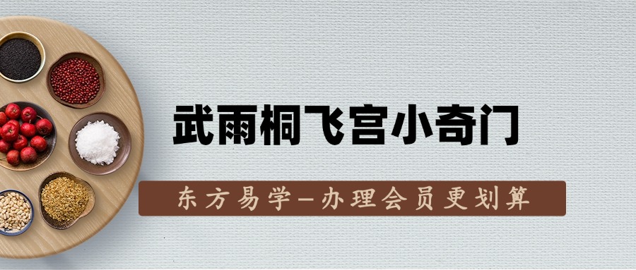 武雨桐飞宫小奇门（东方易学）