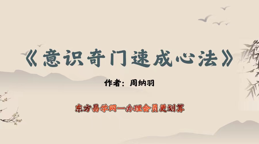 周纳羽《意思奇门速成心法》PDF