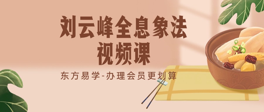 刘云峰全息象法视频课（东方易学）
