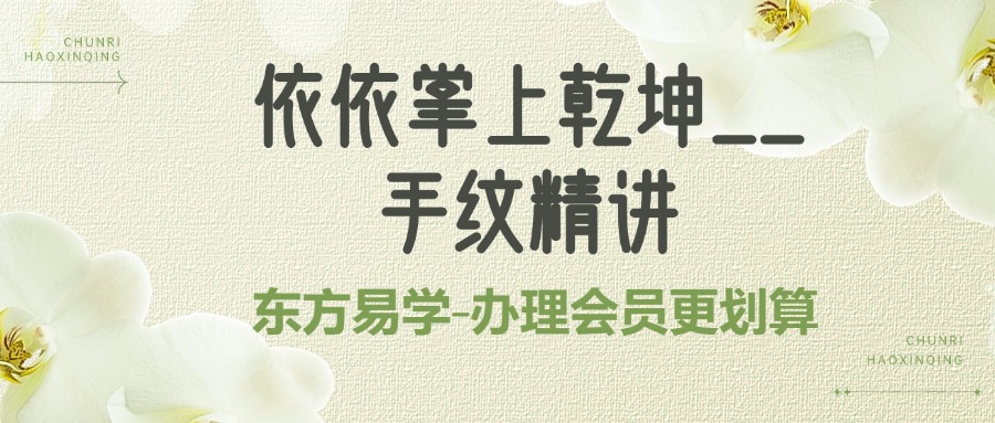 依依掌上乾坤__手纹精讲23集视频（东方易学）