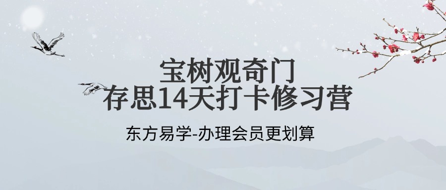 宝树观奇门存思14天打卡修习营（东方易学）