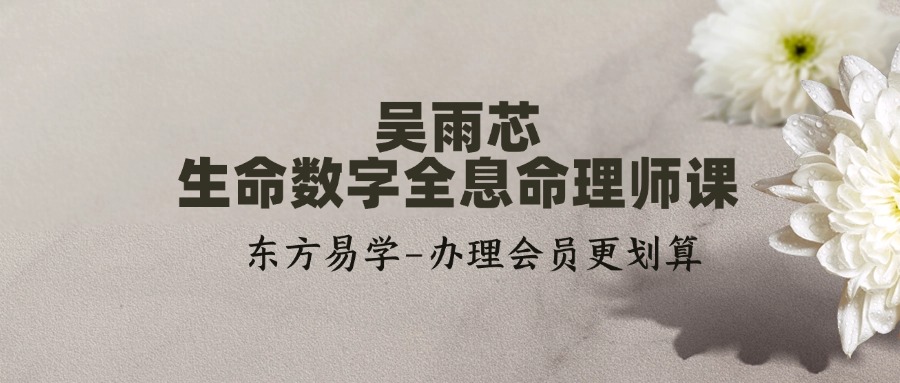 吴雨芯 生命数字全息命理师课23集