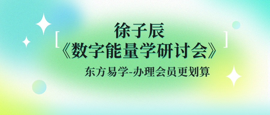 徐子辰《数字能量学研讨会》11集