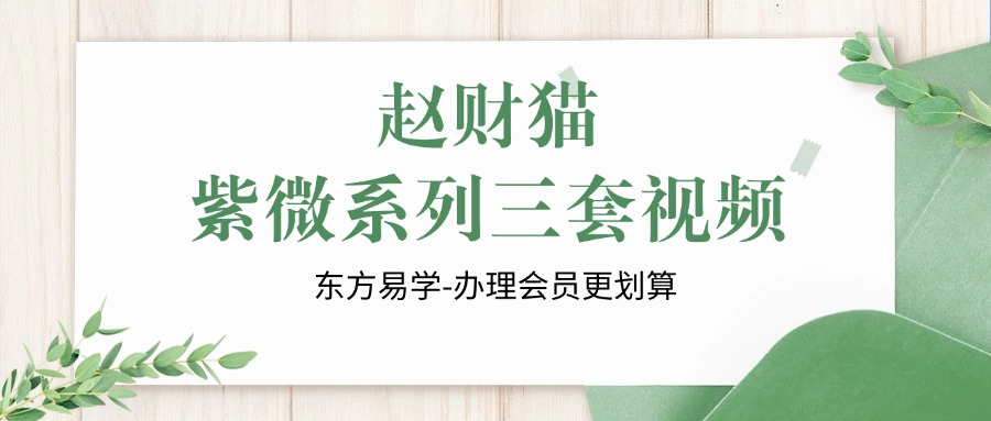 赵财猫紫微系列三套视频（东方易学）