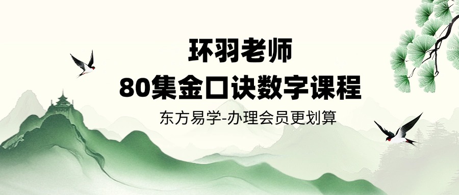 环羽老师80集金口诀数字课程视频约2小时(东方易学)
