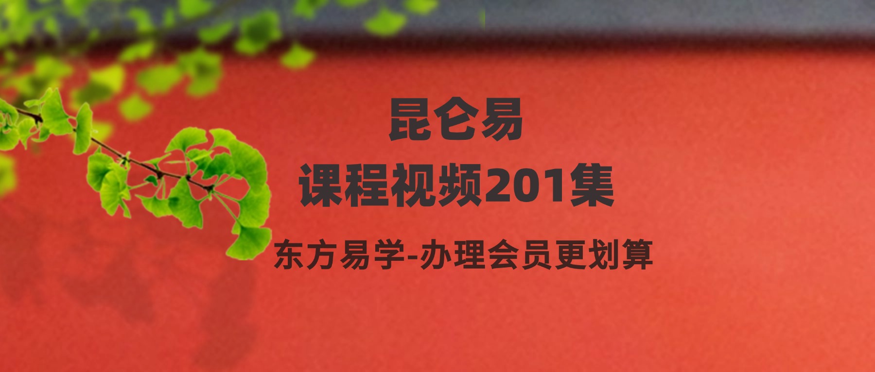 昆仑易课程视频201集（东方易学）