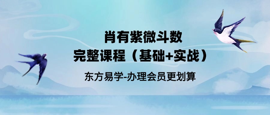 肖有紫微斗数完整课程（基础+实战）