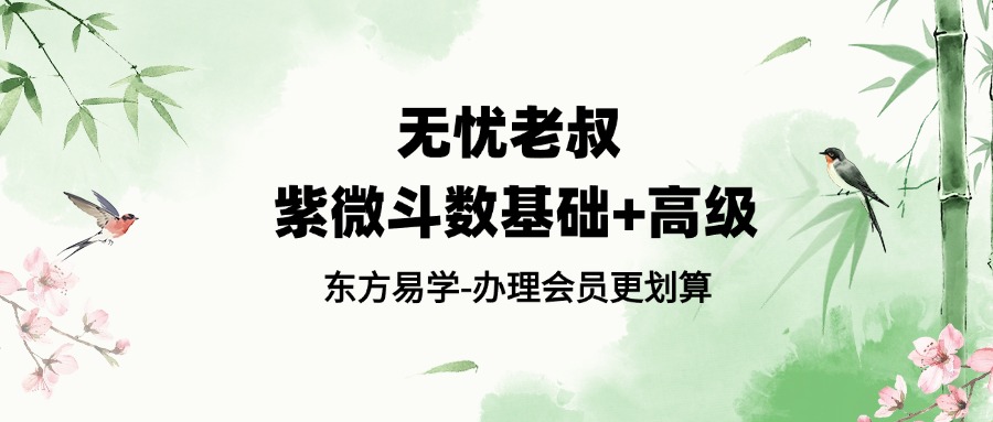 无忧老叔 紫微斗数基础+高级（东方易学）