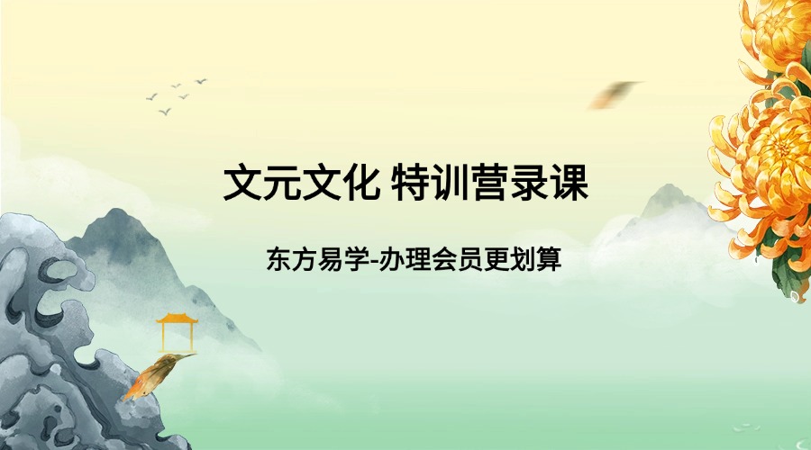 文元文化 特训营录课-22视频课（东方易学）