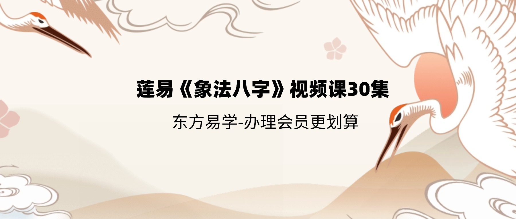 莲易《象法八字》视频课30集