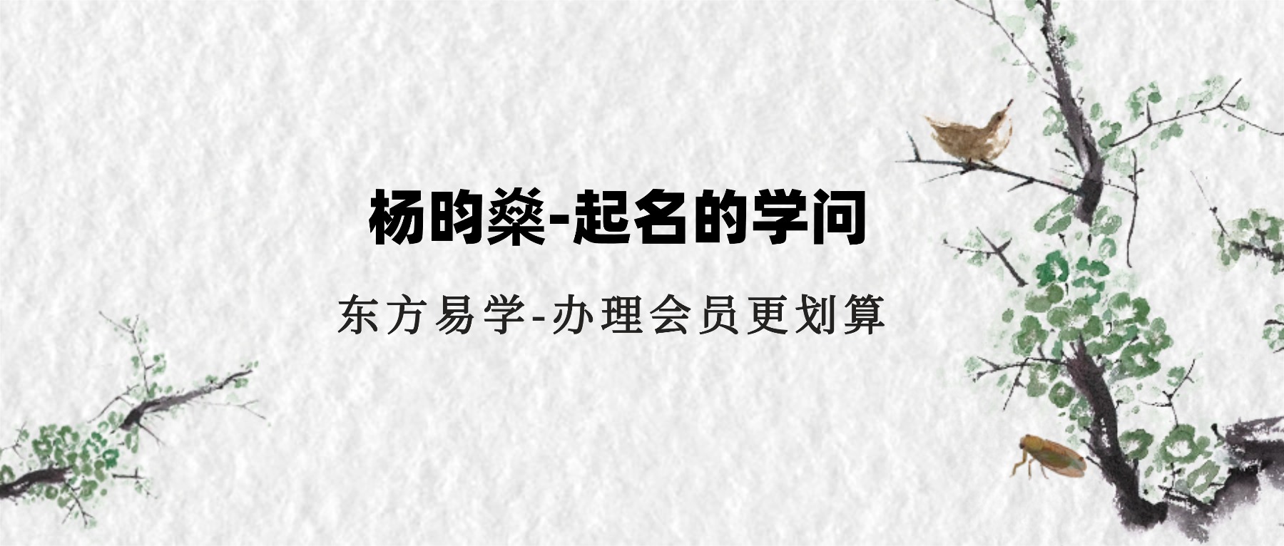 【杨昀燊】名正言顺的秘密——起名的学问 视频6集（东方易学）