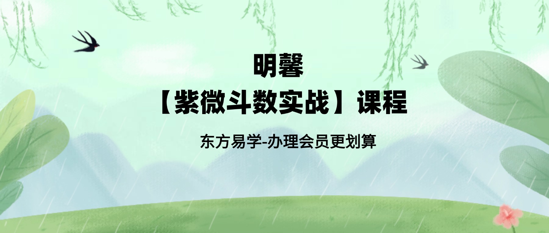 明馨【紫微斗数实战】课程