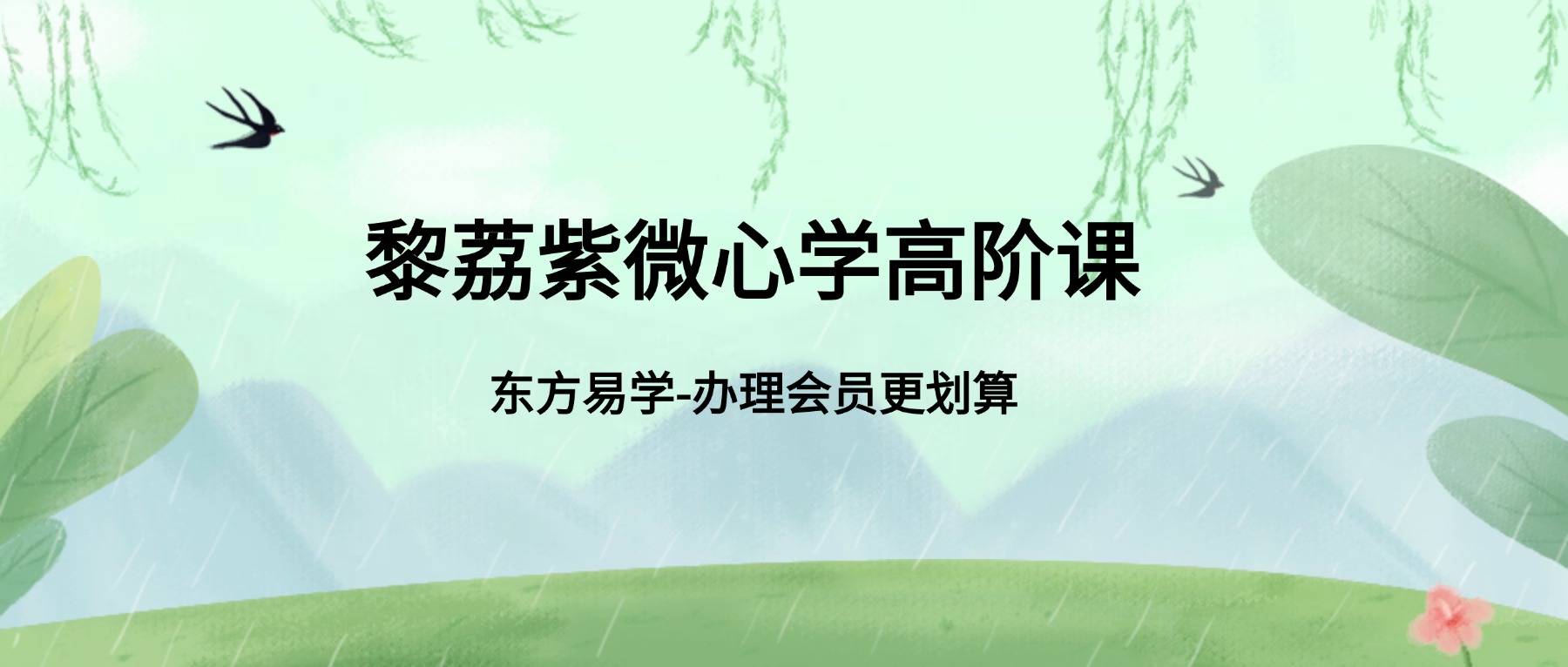 黎荔紫薇心学高阶课（东方易学）