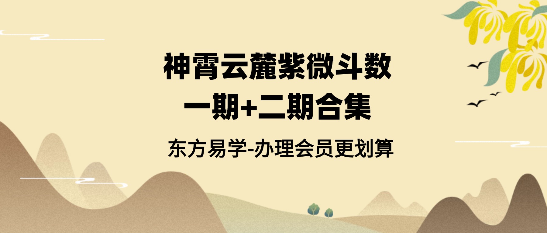 神霄云麓紫微斗数一期+二期合集 视频23集（东方易学）