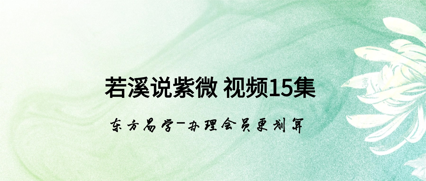 若溪说紫微 视频15集（东方易学）