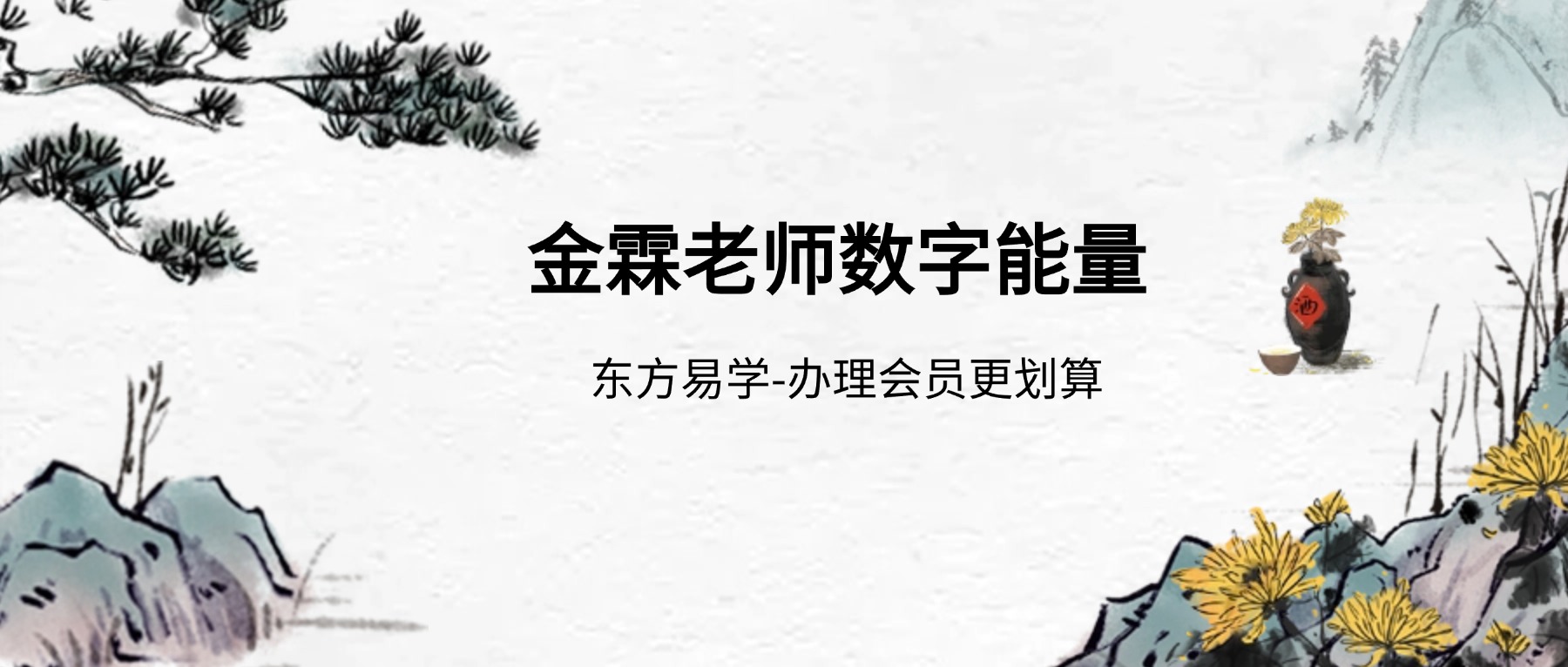 金霖老师数字能量 视频36集（东方易学）