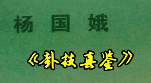 杨国娥卦技真鉴 225页pdf（东方易学）