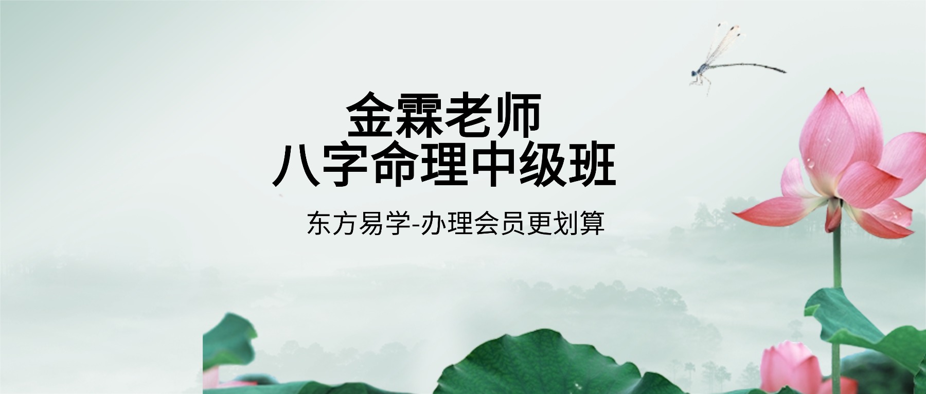 金霖老师八字命理中级班 视频26集（东方易学）