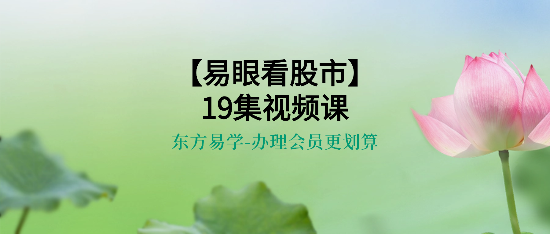 稀有课程【易眼看股市】19集视频课（东方易学）