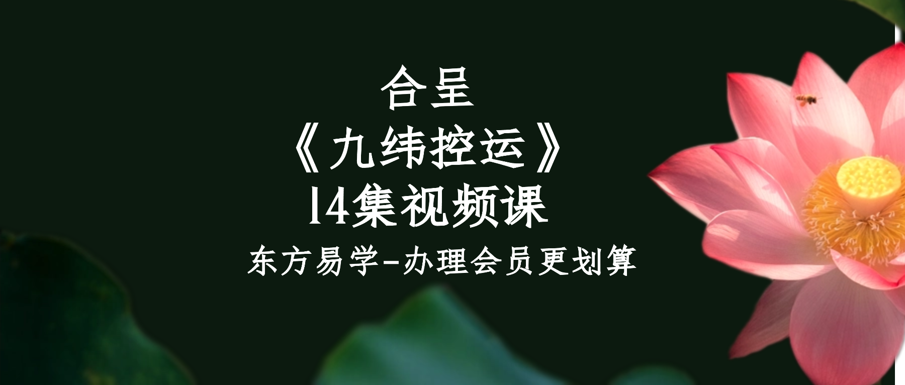 合呈《九纬控运》14集视频课（东方易学）