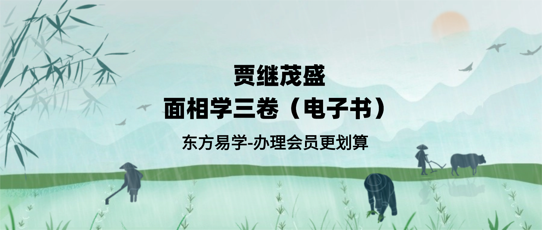 贾继茂盛面相学3卷电子书（东方易学）