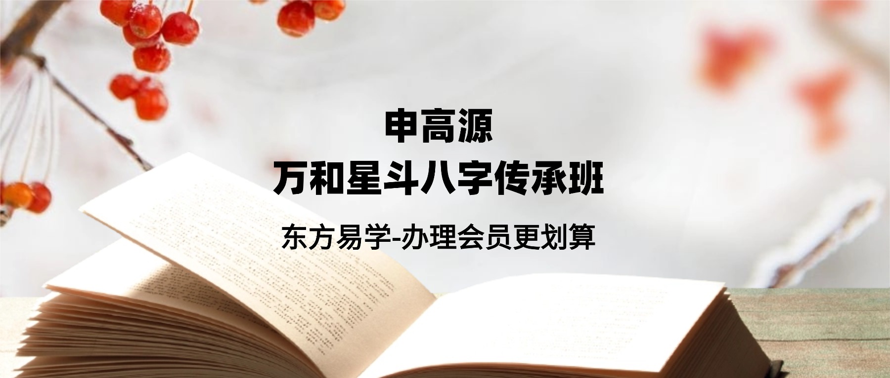 申高源 万和星斗八字传承班31集视频（东方易学）