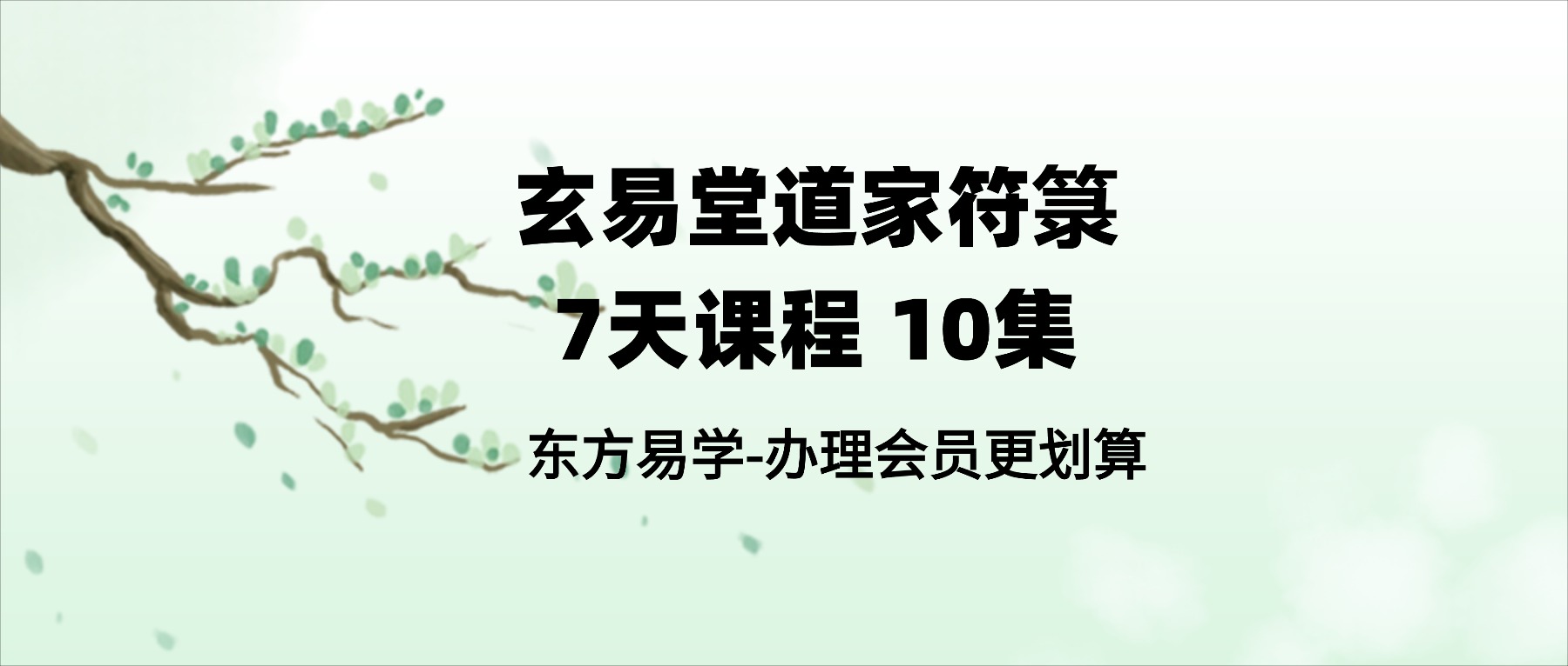 玄易堂道家符箓7天课程 10集（东方易学）