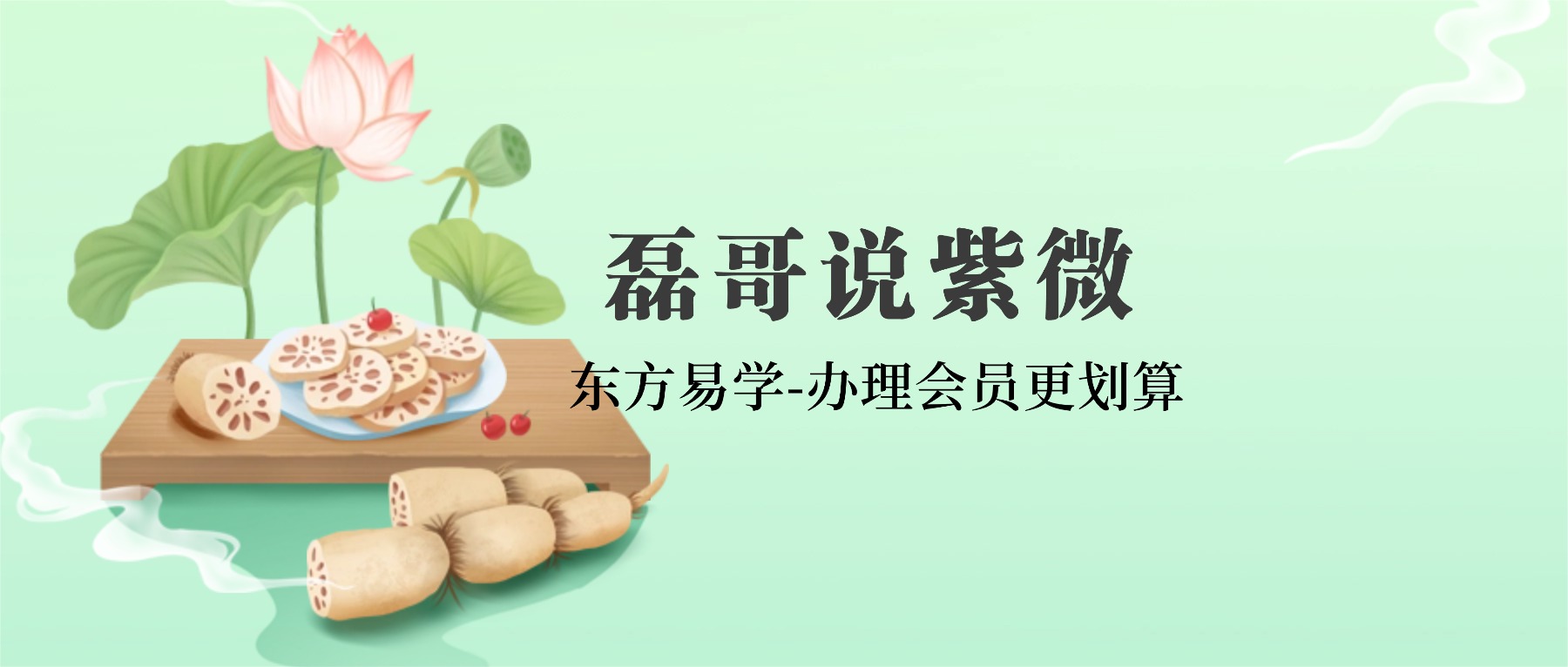 磊哥说紫微 视频26集（东方易学）